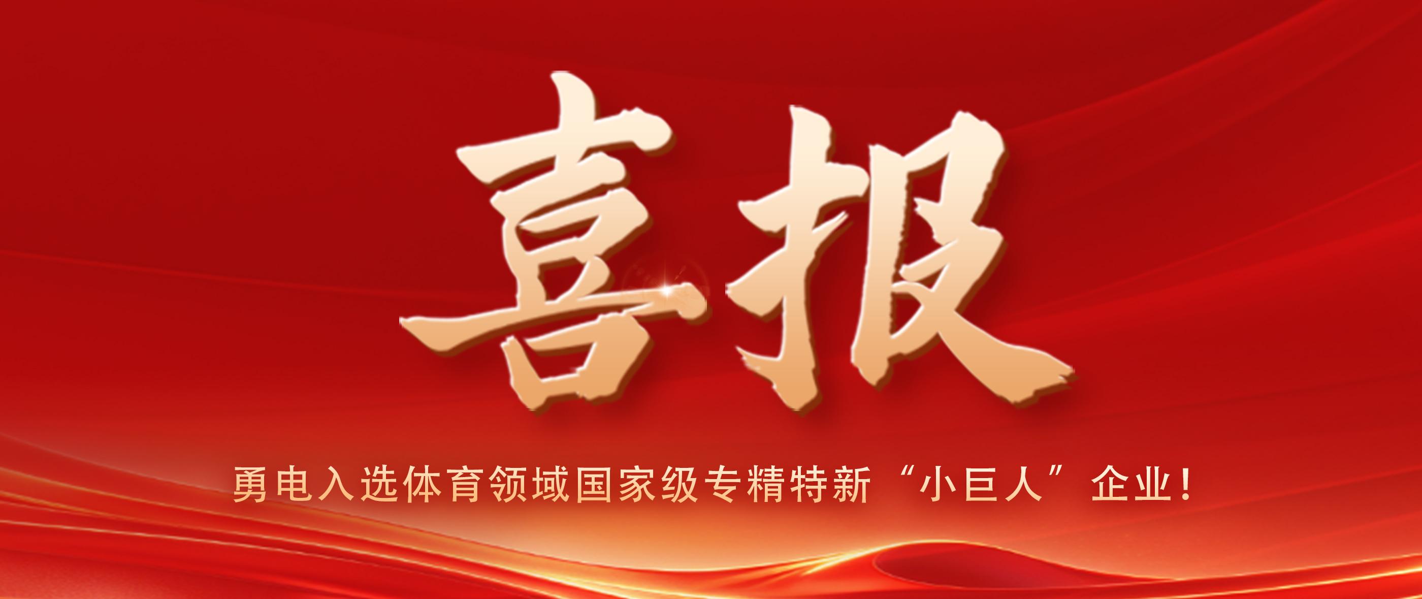 Good News! YD Has Been Selected as a National-Level Specialized and Sophisticated “Little Giant” Enterprise in the Sports Sector!